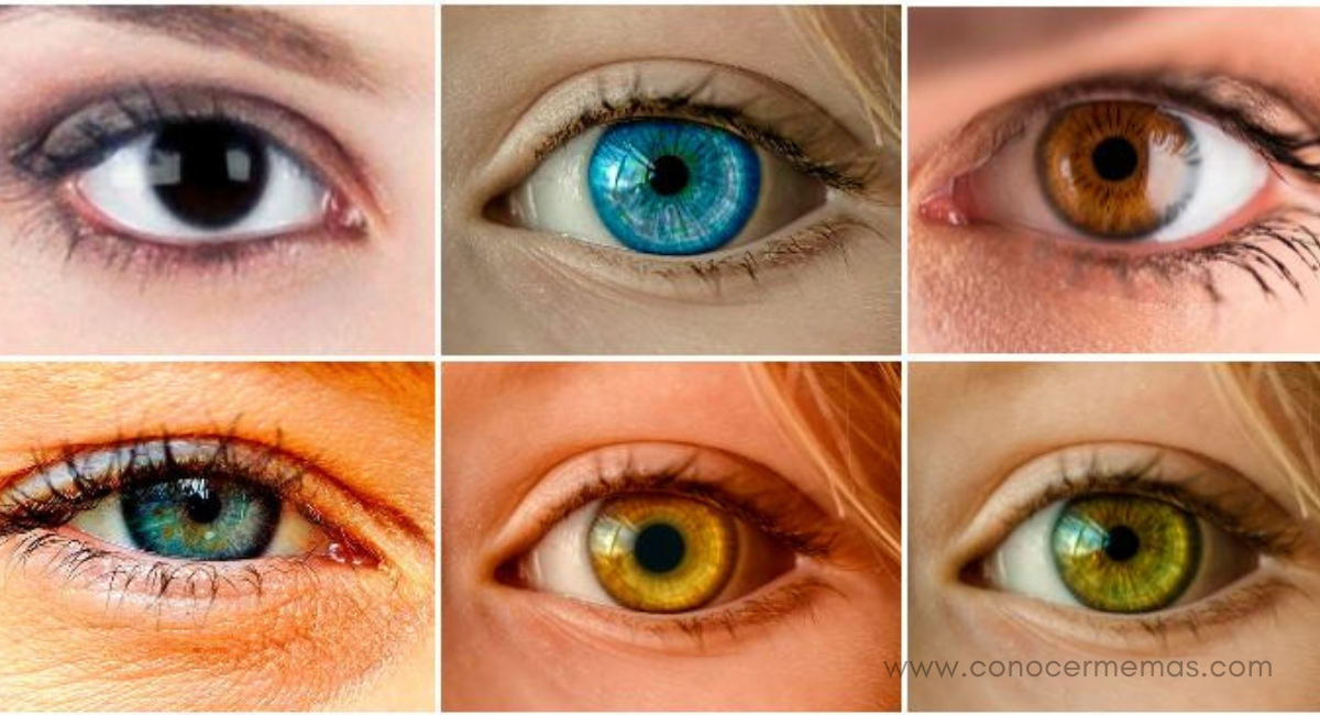 Определить какой цвет глаз по фото